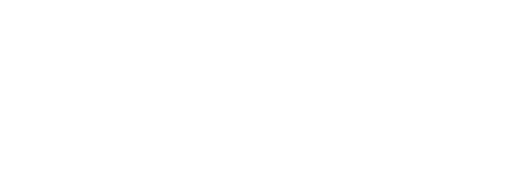 Politecnico di Torino